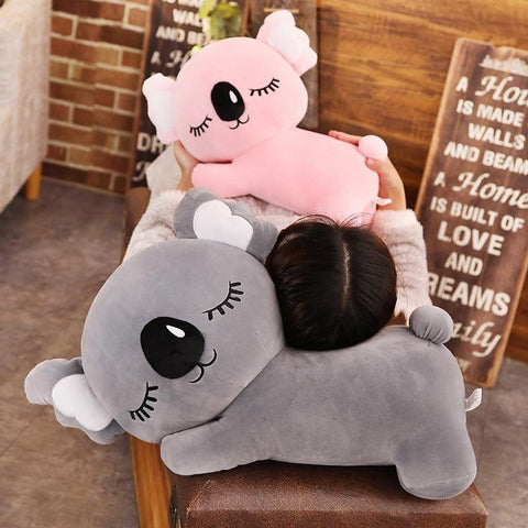 Earl Grey the Koala
