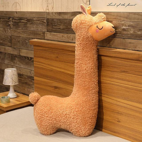 fluffy alpaca