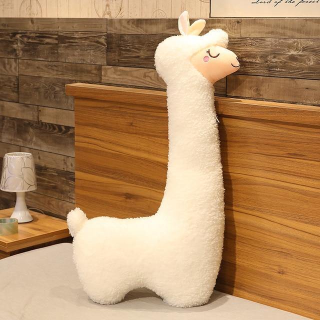 fluffy alpaca