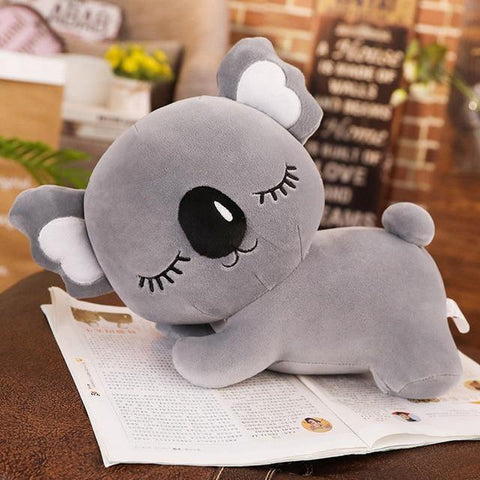 Earl Grey the Koala